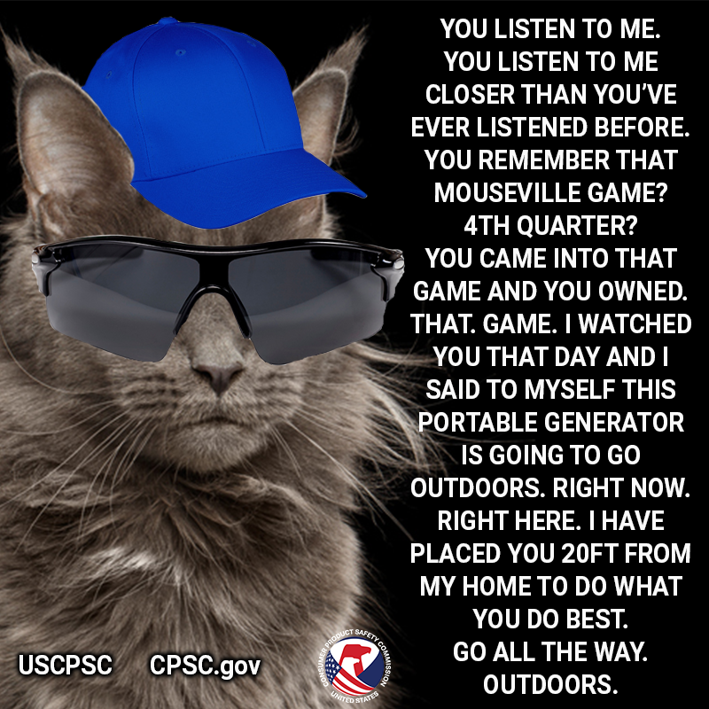A cat in sunglasses and a blue hat. The text reads: you listen to me. you listen to me closer than you've ever listened before. You remember that mouseville game? 4th quarter? you came into that game and you owned that game. I watched you that day and i said to myself this portable generator is going to go outdoors. right here. right now. i have placed you 20ft from my home to do what you do best. go outdoors.