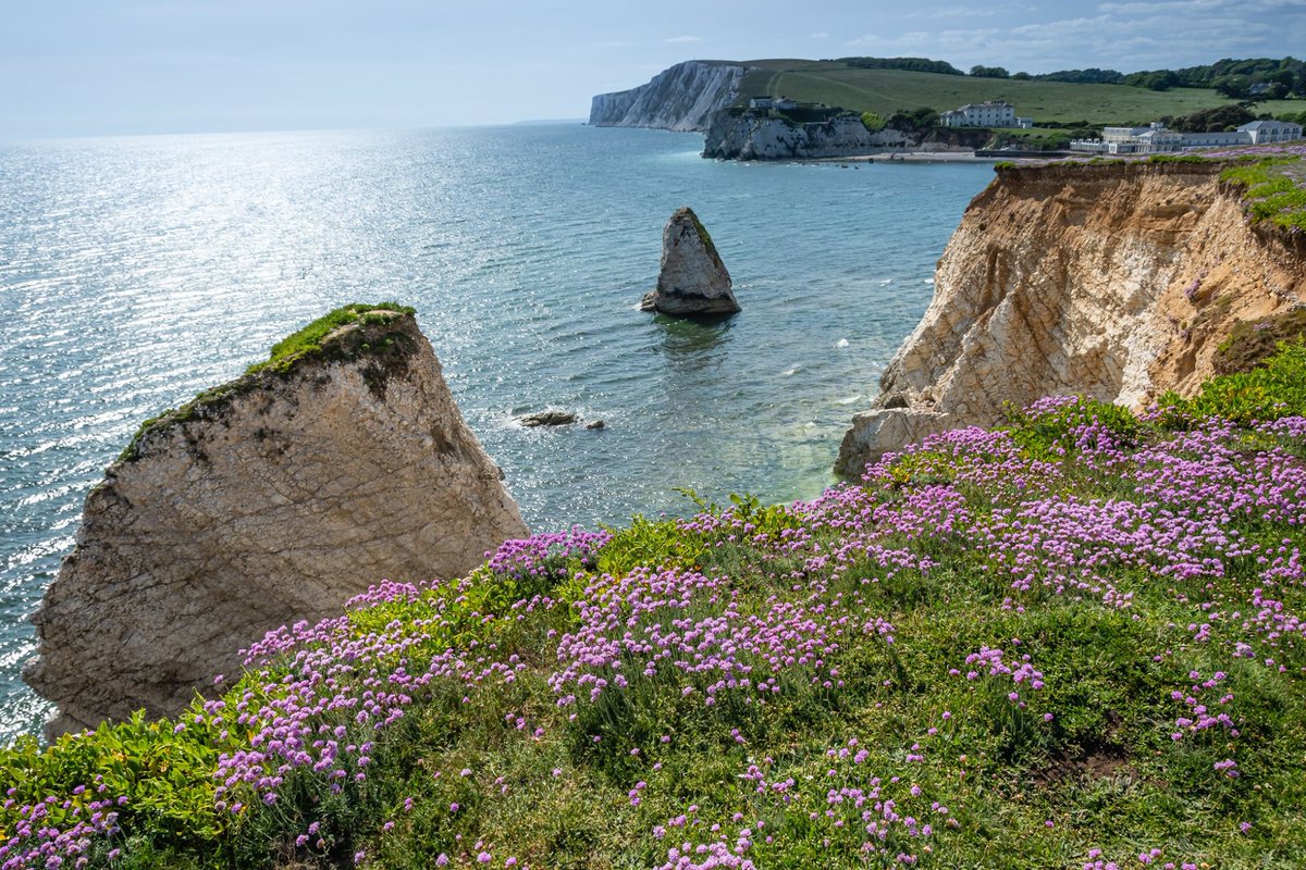 VisitIOW's tweet photo. You could never get tired of this view. 😍🌊🌸

📌 Freshwater
📸 Owen Cass

#TheIslandisWaiting #SupportIOW #LoveGreatBritain #IOW #IsleofWight https://t.co/p0wrShPyCg