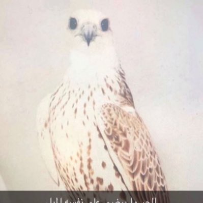 #صورة_جديدة_للملف_الشخصي