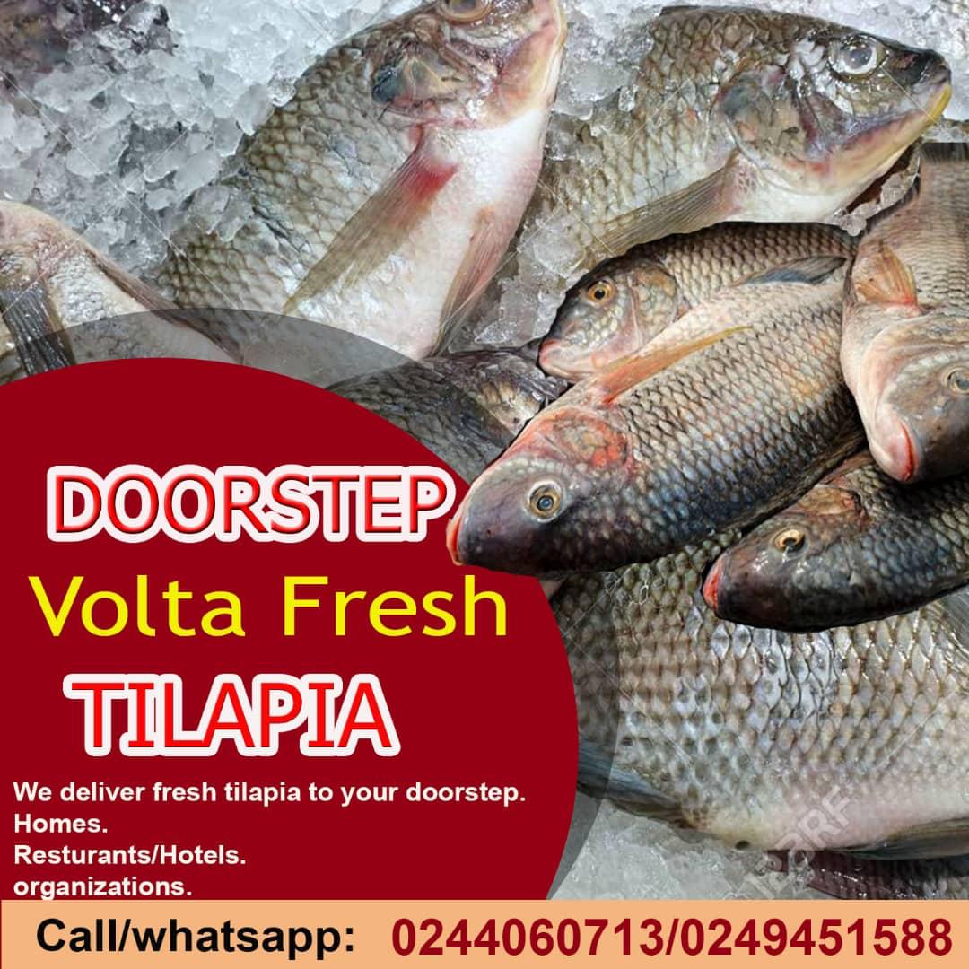 KofiKyeiB4's tweet photo. Volta Fresh Tilapia #DeliveryAtYourDoorstep 0244060713 or 0249451588 https://t.co/OIIb4NgUkQ