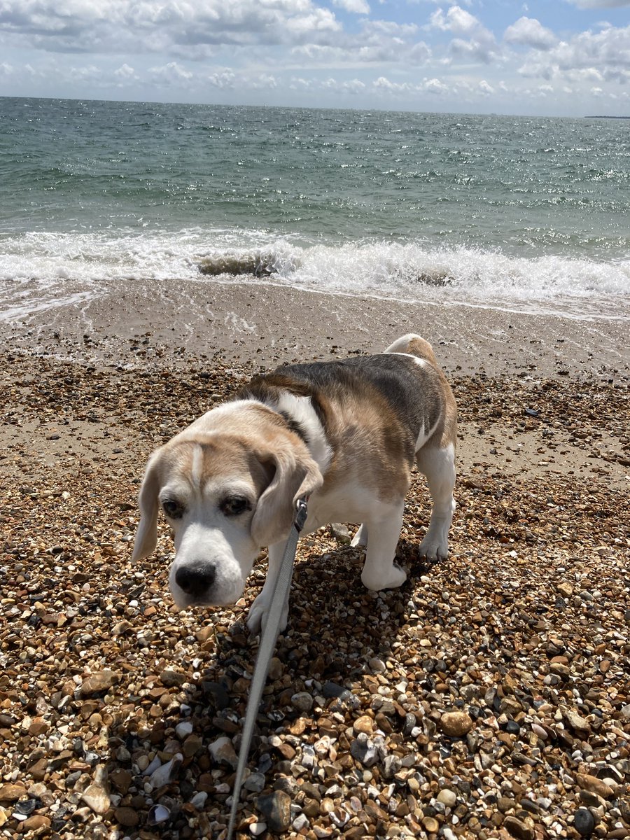 Lovely day at the seaside with Daddy @dannypayne81 - last time before I go back to Worcester to <a href="/casakevina/">Kevin Andrews</a> tomorrow. Looking forward to more seaside visits in September! #IDoLikeToBeBesideTheSeaside