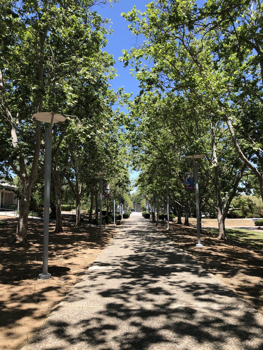 A beautiful campus, missing her students-