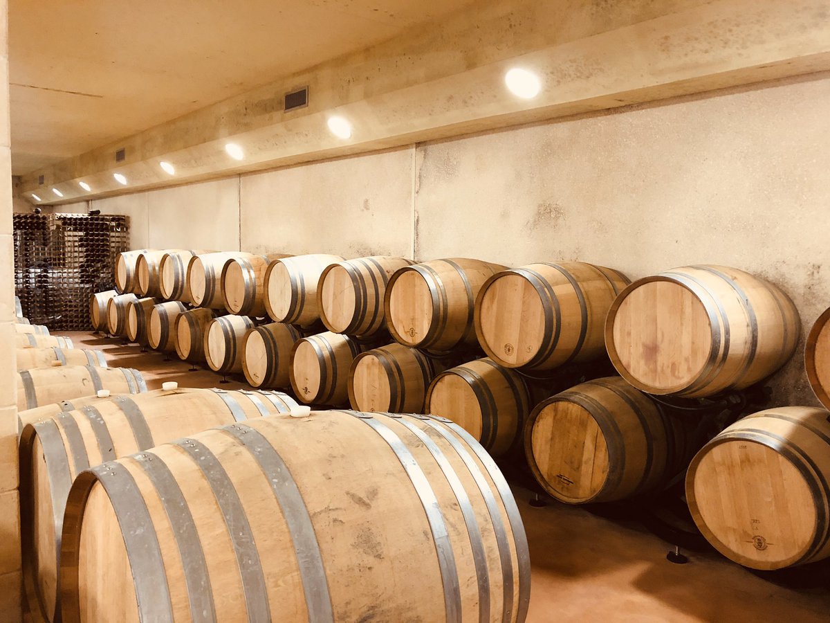 accountantfaith's tweet photo. Fantastic afternoon at @DduGrandMayne sampling some wines to offer at our gite @GrandPailleyBas delighted to be a partner! Can’t wait to share your amazing wines with our guests #wine #France #winetour #cotesdeDuras https://t.co/tIlcm6NWVh