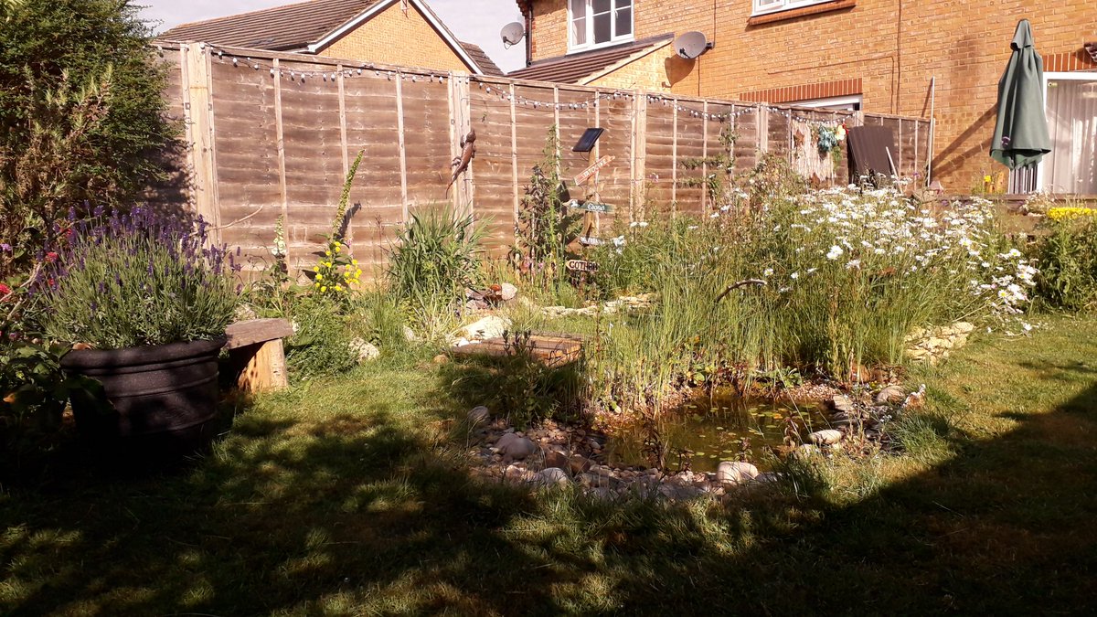 JDBaker81's tweet photo. @TheMontyDon Green space fundametal for mental health ... couldn't agree more @TheMontyDon. If I had not had my garden during this lockdown I am not sure what i would have done! #wildlifegarden #wildlife #wildlifepond https://t.co/3QMDVjRSqW