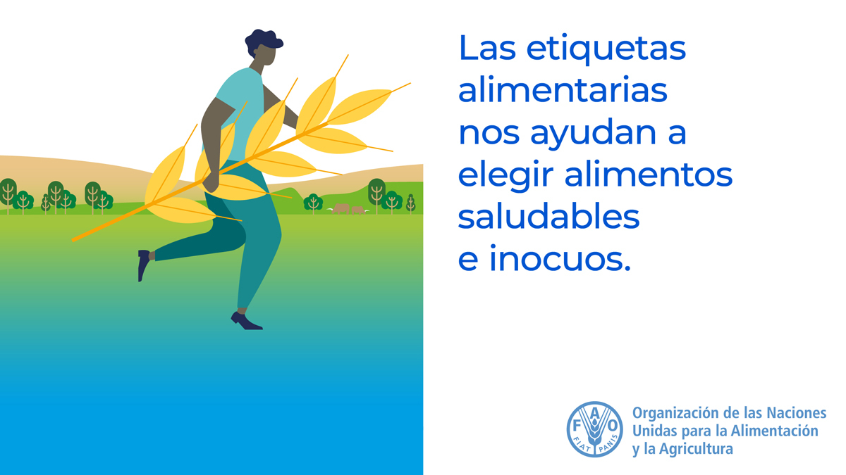 🥕🥦🍅La eficacia de los sistemas de control de calidad e #inocuidaddelosalimentos es vital no solo para salvaguardar la salud y el bienestar de las personas, sino también para impulsar el desarrollo económico y mejorar los medios de vida al promover el acceso a los mercados 🛒