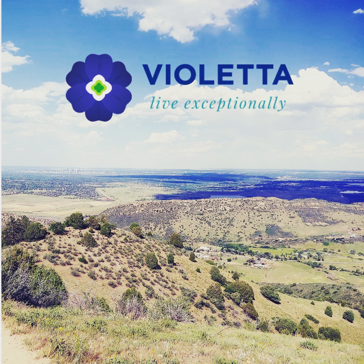 violettacompany's tweet photo. Are you interested to learn more about how #cbd might help you live your best life? Check out our Facebook and Instagram pages at "violettacompany" to learn how you can #LiveExceptionally with organically grown #ViolettaCBD https://t.co/YxXKhJPAYO