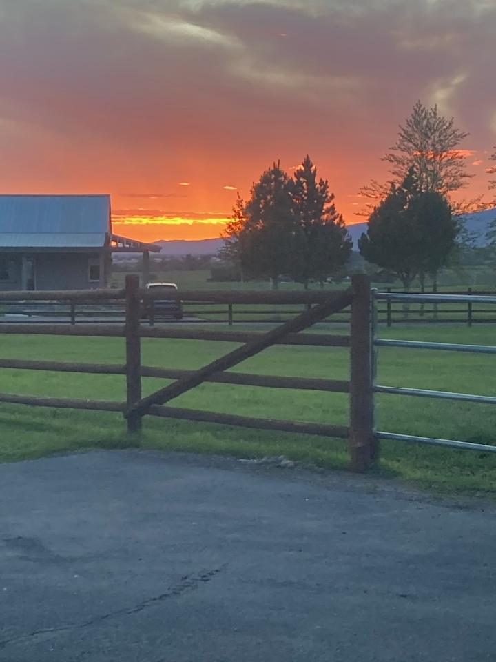 Ten Broeck Farm tweet media