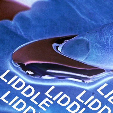 NEW SH 🤫 
#LIDDLE Prod By <a href="/MathaiusYoung/">MathaiusYoung</a>  
              OW RYE NAH 
             ON ALL PLATS
      smarturl.it/liddle