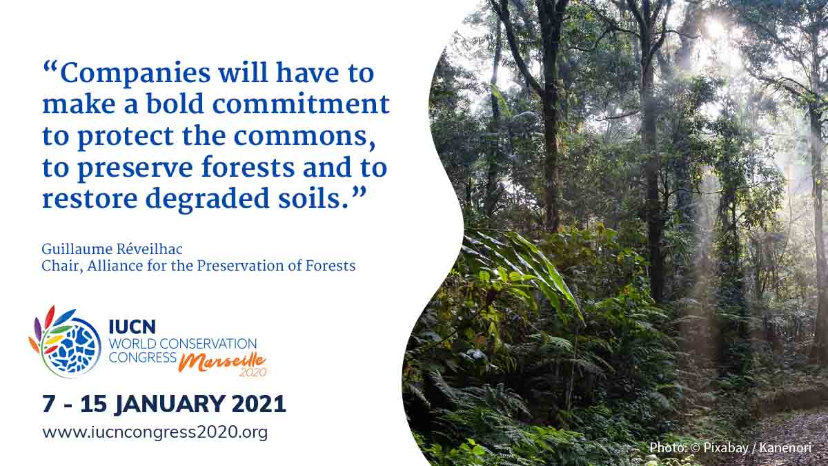 IUCN (@iucn) on Twitter photo Faced with the scale of deforestation and the loss of #biodiversity, companies are both responsible and are victims.
Our new blog from <a href="/allianceforets/">Alliance pour la Préservation des Forêts (APF)</a> explains why urgent change in business models is needed to conserve forests ow.ly/qxY650AcsP9 #IUCNcongress <a href="/IUCN_forests/">IUCN Forest and Grasslands</a> Faced with the scale of deforestation and the loss of #biodiversity, companies are both responsible and are victims.
Our new blog from <a href="/allianceforets/">Alliance pour la Préservation des Forêts (APF)</a> explains why urgent change in business models is needed to conserve forests ow.ly/qxY650AcsP9 #IUCNcongress <a href="/IUCN_forests/">IUCN Forest and Grasslands</a>