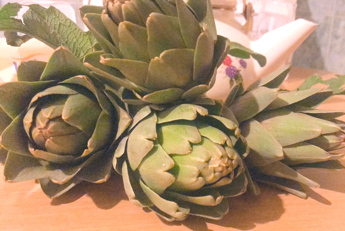 damladonna's tweet image. #valuableresource #eatyourheartout 💚💚💚💚💚💚💚💚💚💚💚💚