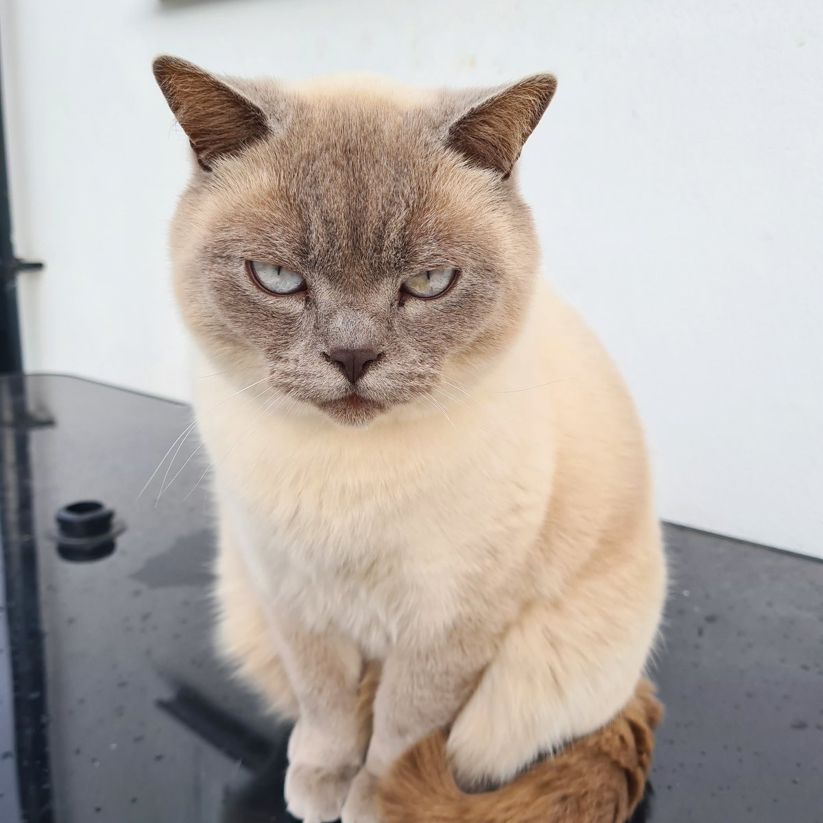 Yes, I'm well aware it's raining 🌧 
No, i will not be coming inside ☔😹 #rebel