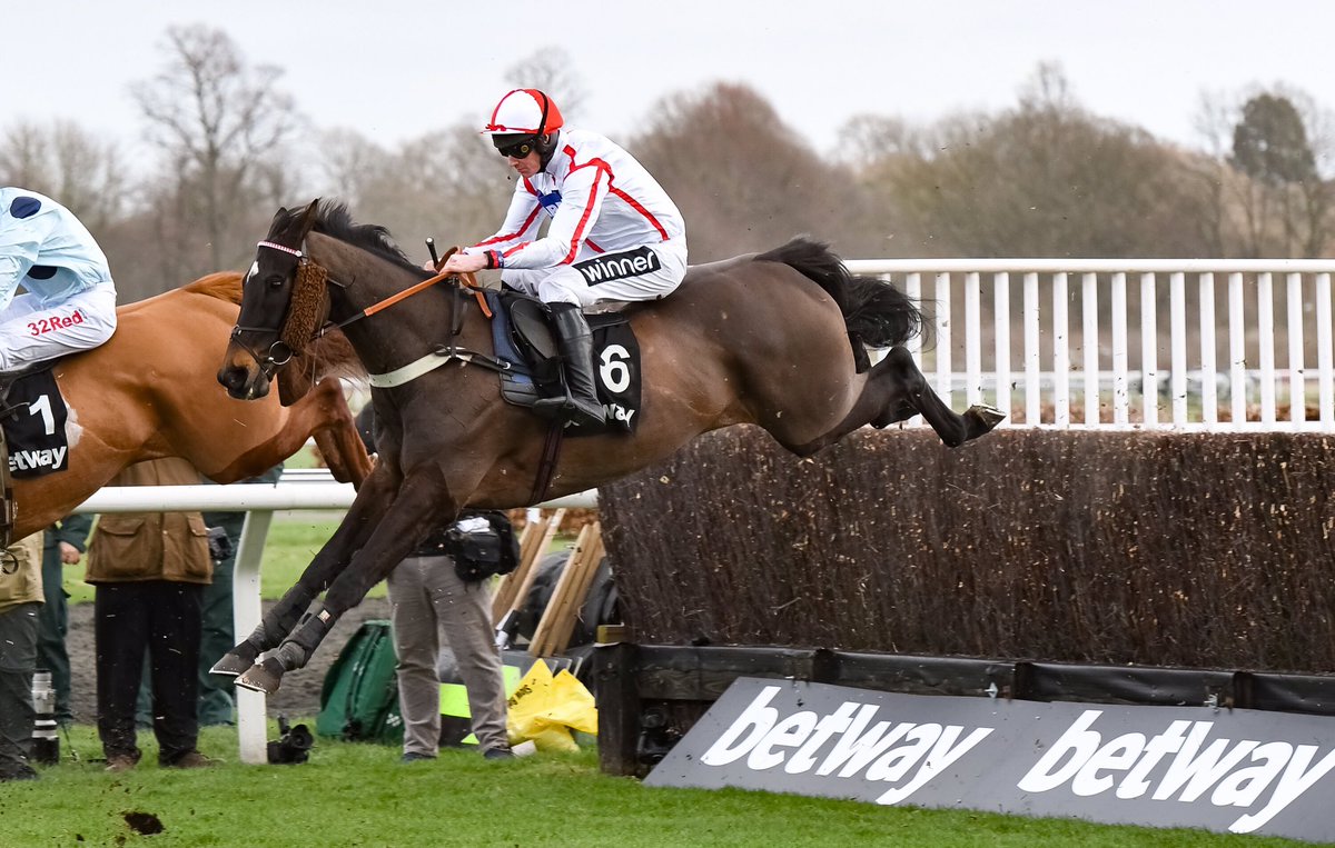 One of our favourites, WHO DARES WINS, runs tomorrow in the Queen Alexandra Stakes @Ascot. Good luck to Alan King, @PonsonbyHenry and connections. Photo ©JTW Equine Images, taken @kemptonparkrace when he won the 2020 Pendil Novices’ Chase. #RoyalAscot