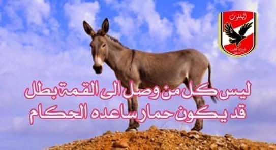 🇪🇬Huda💞 (@hudar2018) on Twitter photo 