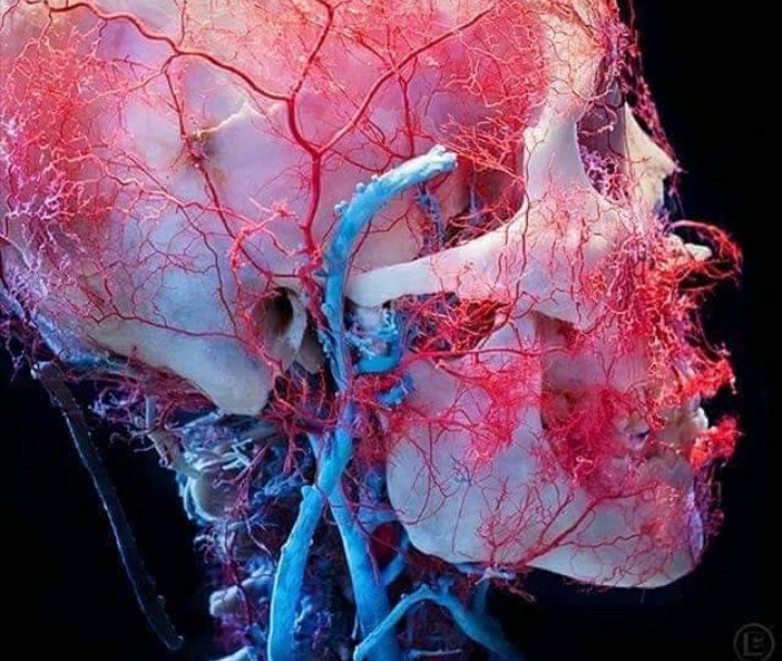 Si quieres que te lean, nalguea al lector.