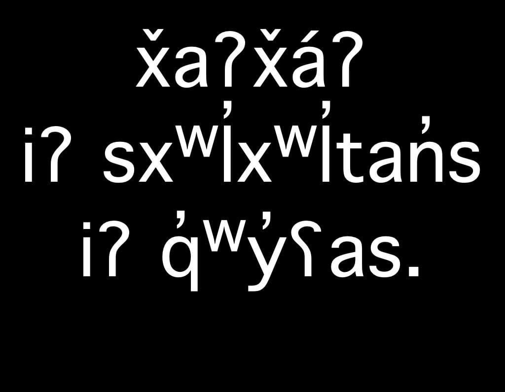 MelissaJLaramie's tweet image. Let us continue the fight to ensure the promise of freedom is delivered. While oppression persists &amp;amp; equality is far from our grasp in this country, as a proud #NativeWoman I celebrate #Juneteenth. 
#BlackLivesMatter #TeachMeMyHistory 
Translation via Salish School of Spokane