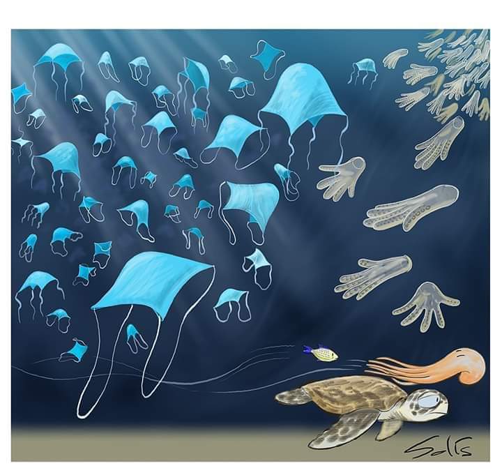 ¿Tú cómo desechas tus cubrebocas y guantes? 
No importa que no vivas cerca de la playa, los desechos de las ciudades terminan contaminando los océanos. 
Evita tirarlos en espacios públicos y depositalos en botes de basura para su  destino...

Créditos de la imagen a su autor.