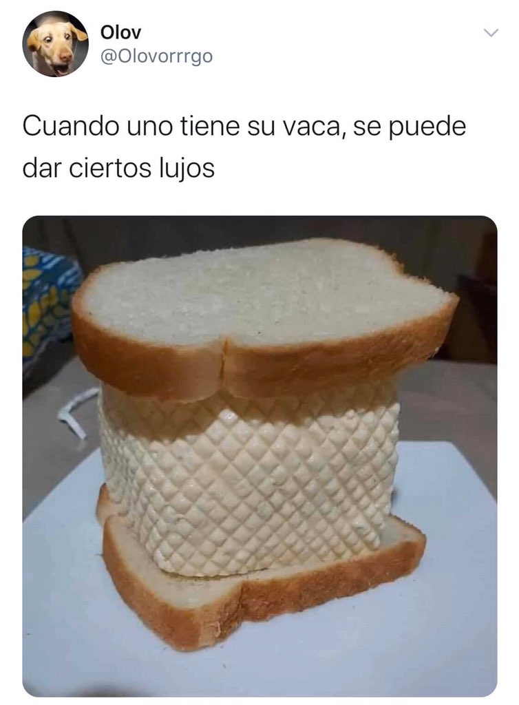 ali_macias_'s tweet photo. Necesito una Vaca 😩 https://t.co/2uj8eqy0dw