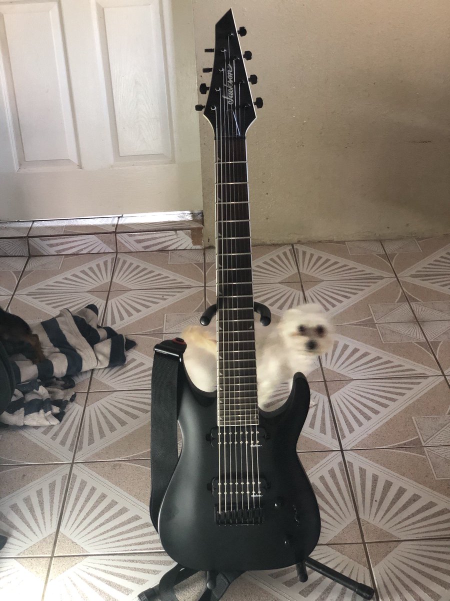 V1PER1DAE's tweet photo. Sorry for the dead stream I got so comfortable on the fold out I “rested” my eyes and before I knew it I was out. Here is my axe collection as an aplology #Gibson #MelodyMaker #LesPaul #Explorer #Jackson #JS328 #HT6 @TwitchReTweets @BlazedRTs @LaZy_RTs @Mighty_RTs https://t.co/y4jshnmcmJ