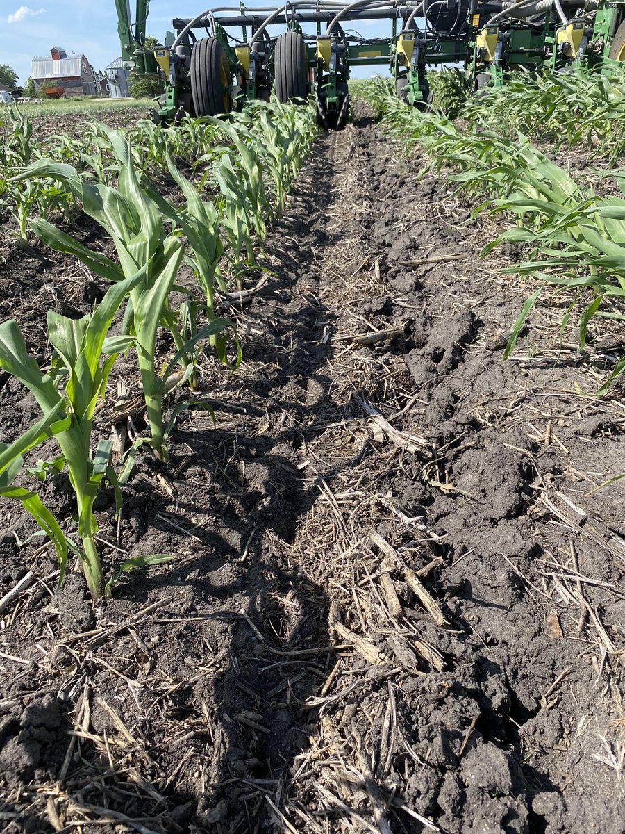 farmerdoug93's tweet photo. Sorry I’m late for the #60InchCorn party🏃Here are some photos of my #BTN plot. Kind of like mixed vegetables Corn and Peas. Maybe we will discover something 🐝🦵🤔 https://t.co/9zqloR6Lt0