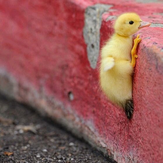 this is what you see if you stand on the other side of the ledge