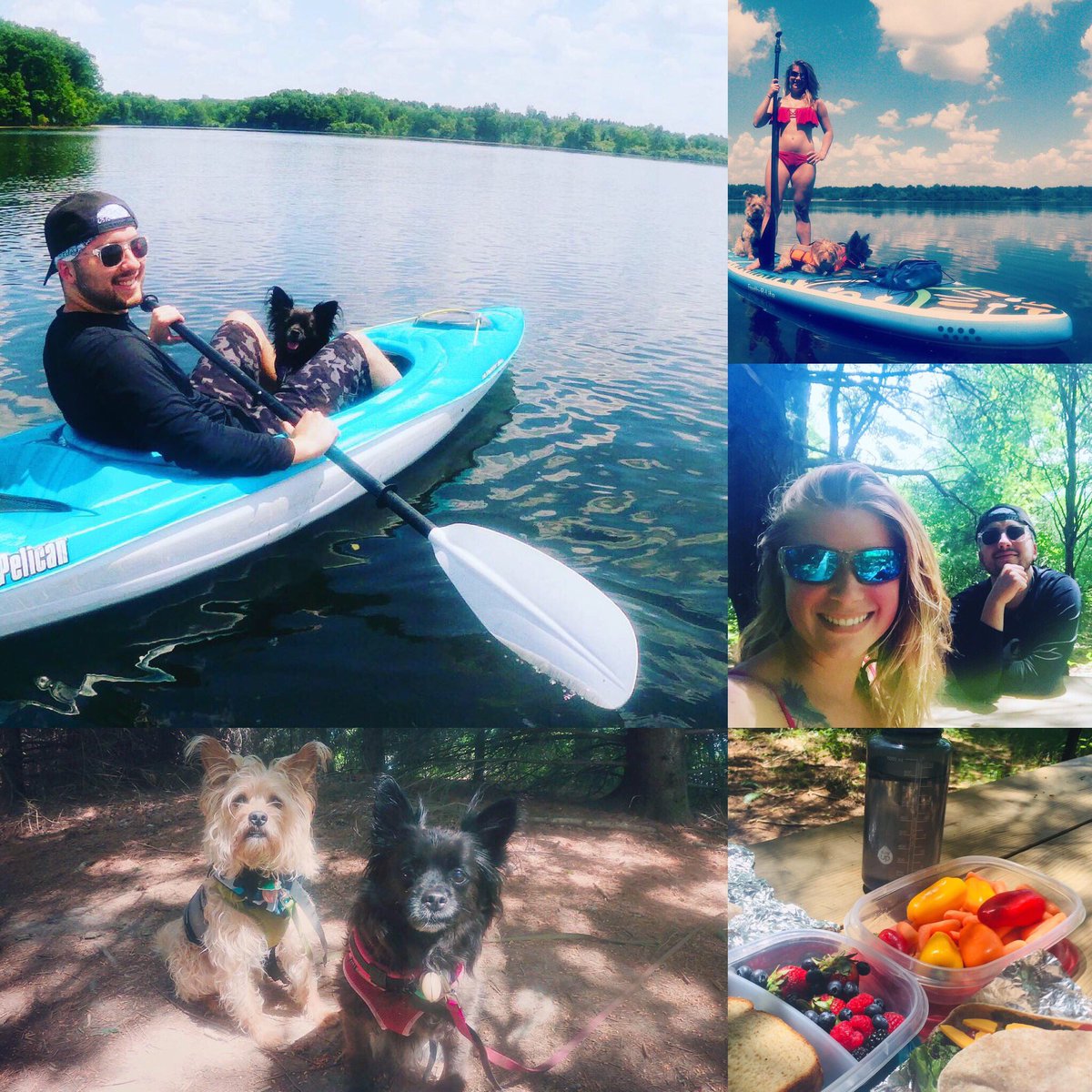 KodiFeldpausch's tweet photo. Such a beautiful day with the fur babies and my amazing boyfriend! It’s important to make time for quality time! 🥰 #kodisgreen #kodegan #marinekodi #behappybehealthy #livehappylivehealthy #ecofriendlyliving #animalovers🐾 #kayaking🚣 #paddleboardingadventures #loveourearth https://t.co/KyvloFtc9z
