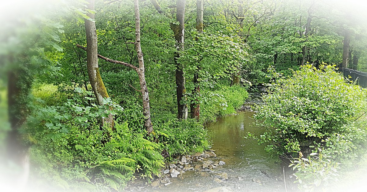 AlysonConnew's tweet photo. This beautiful little place is going to be one our film locations. Recce earlier today. Thank you Sarah and James.
#river #yorkshire #film #indiefilm #corner #idealic https://t.co/pHQvS1ibat