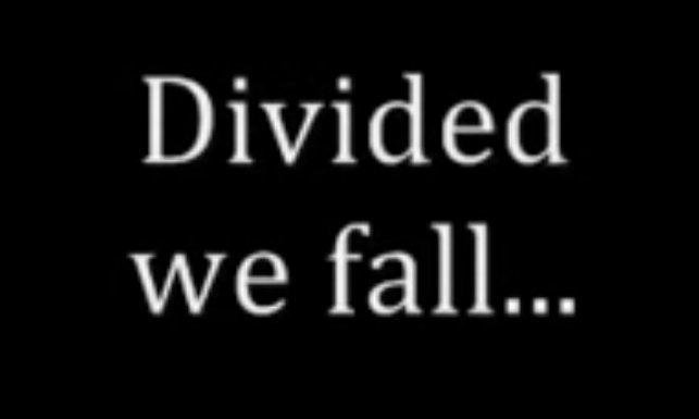 Andrea Gallo tweet media