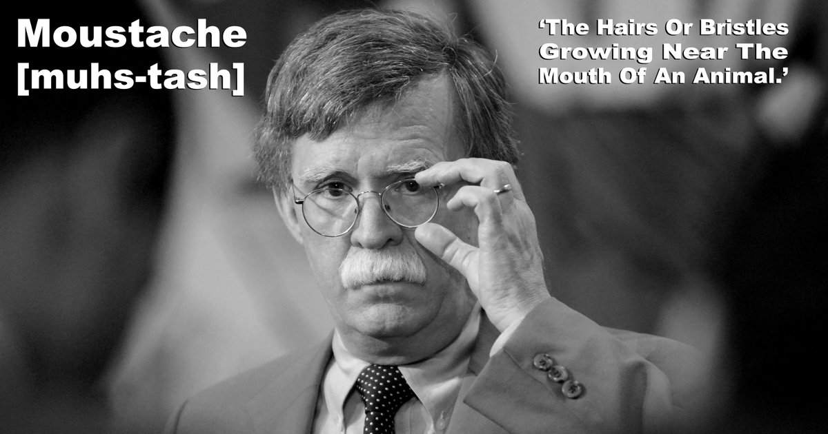 'A High Noon Shadow, A War Hawk, And A Case Of Agonizing Moustachism.'Recent Revelations Forced Me To Leap Down This Rabbit Hole. This Is A Deep Dry Dive Dig Into Bolton’s Moustache.