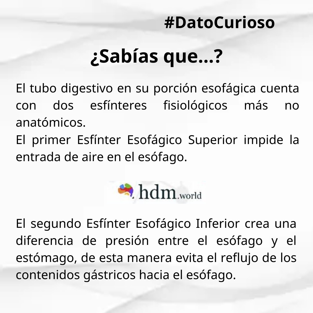 HWorldllc's tweet photo. #sabias #que #dato #curioso #esofago #fisiologia #repaso #esfinter https://t.co/l2jcx4FImG