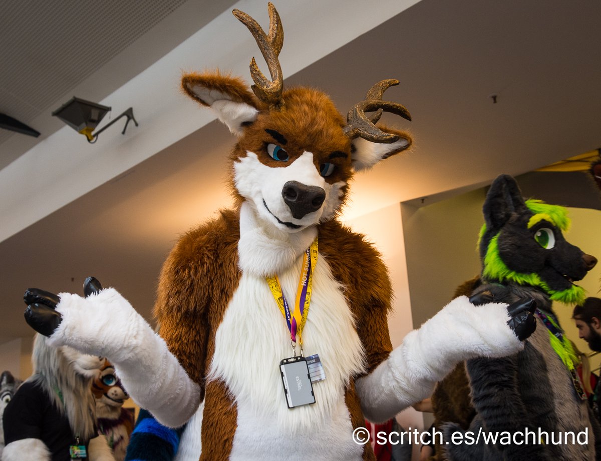 Wachhund Skytower tweet media