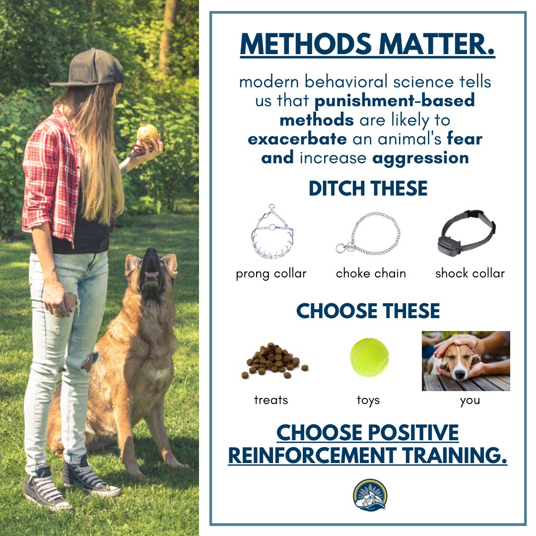 DuPageCAS's tweet image. Training should never hurt regardless of size, breed, or behavioral issue. #PositiveReinforcement #FearFreeTraining #FactFriday