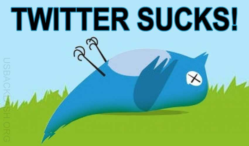 KidKool4U's tweet photo. If the endless #Libtard propaganda and #shadowban wasn't enough to send people over to #Parler, this #NewTwitterLayout that could not suck any more will be! https://t.co/P8IeC8ULaq