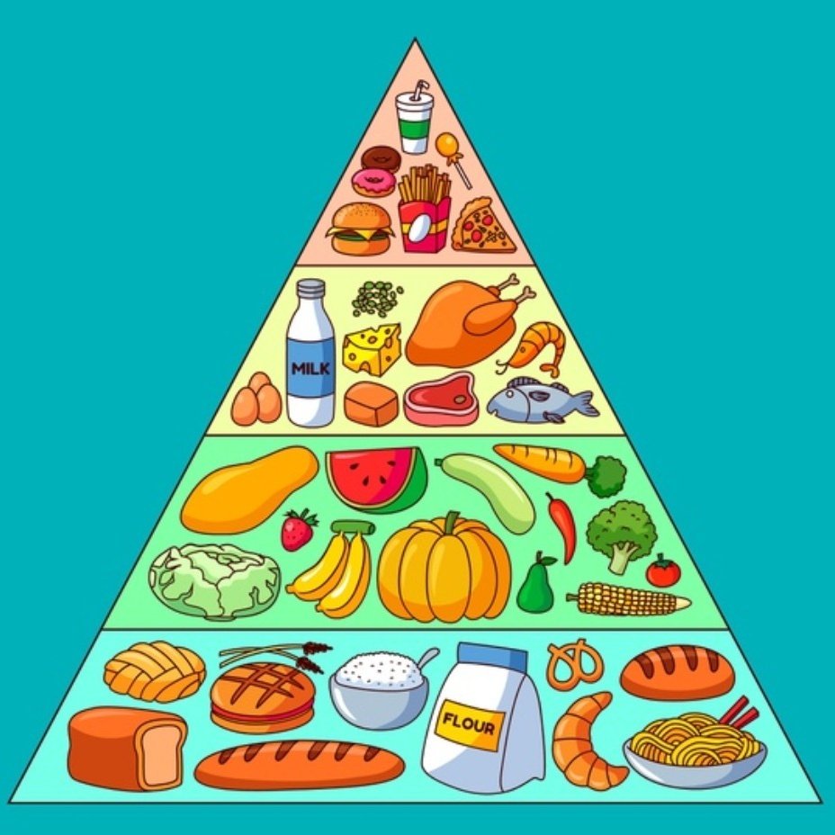 Проанализируйте пищевую пирамиду