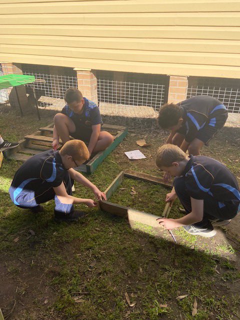 Luke Somerville tweet media