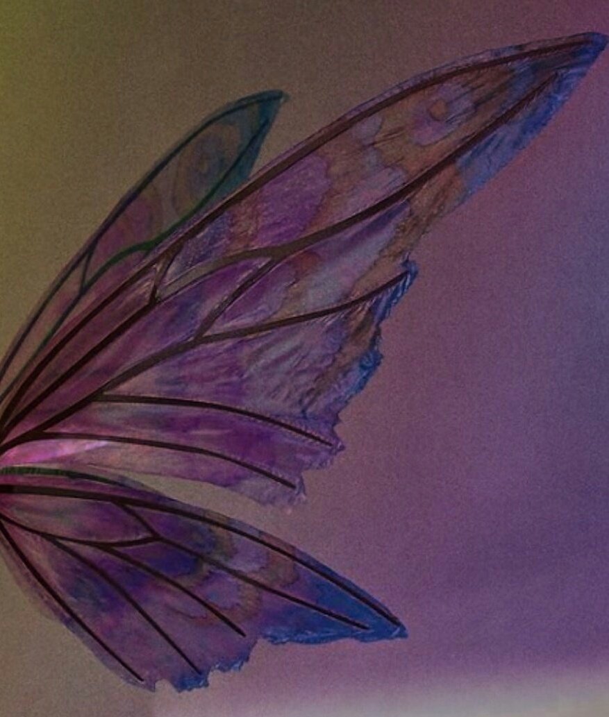 purple wings niall