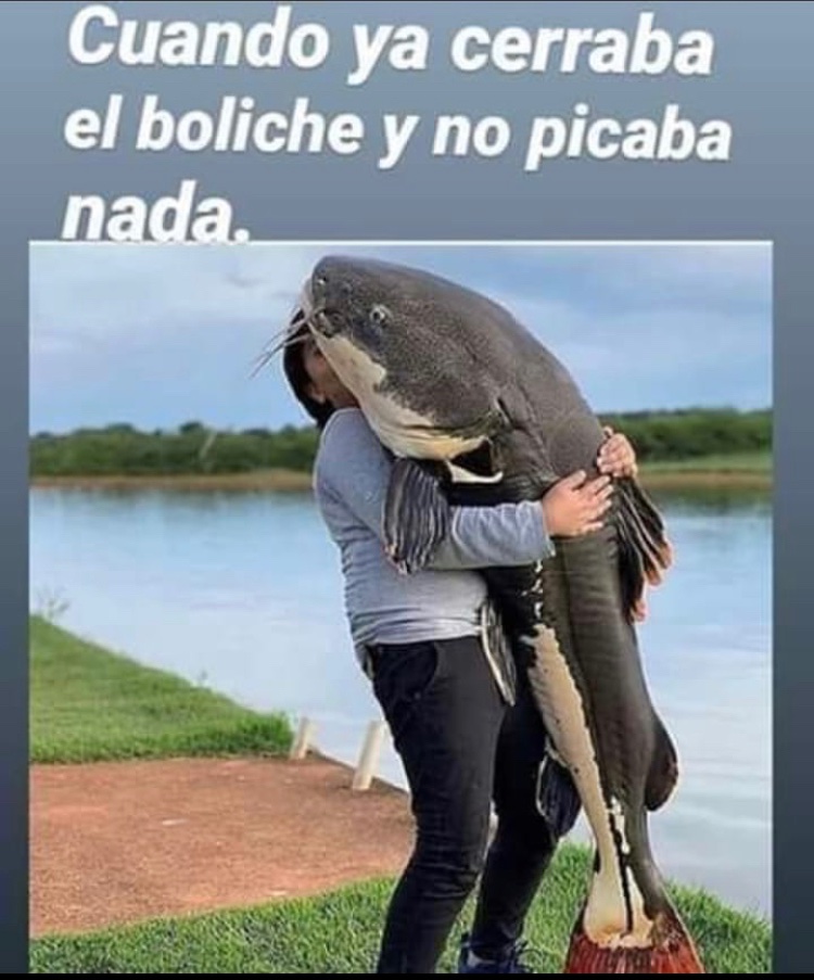 yamiaylan's tweet photo. 🤣🤣🤣 https://t.co/mKAt7STHmx