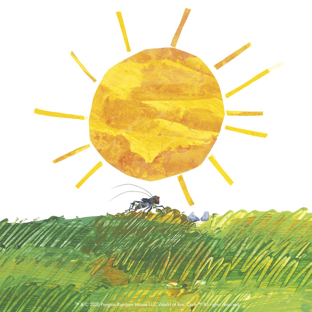 Welcome sunshine and summer