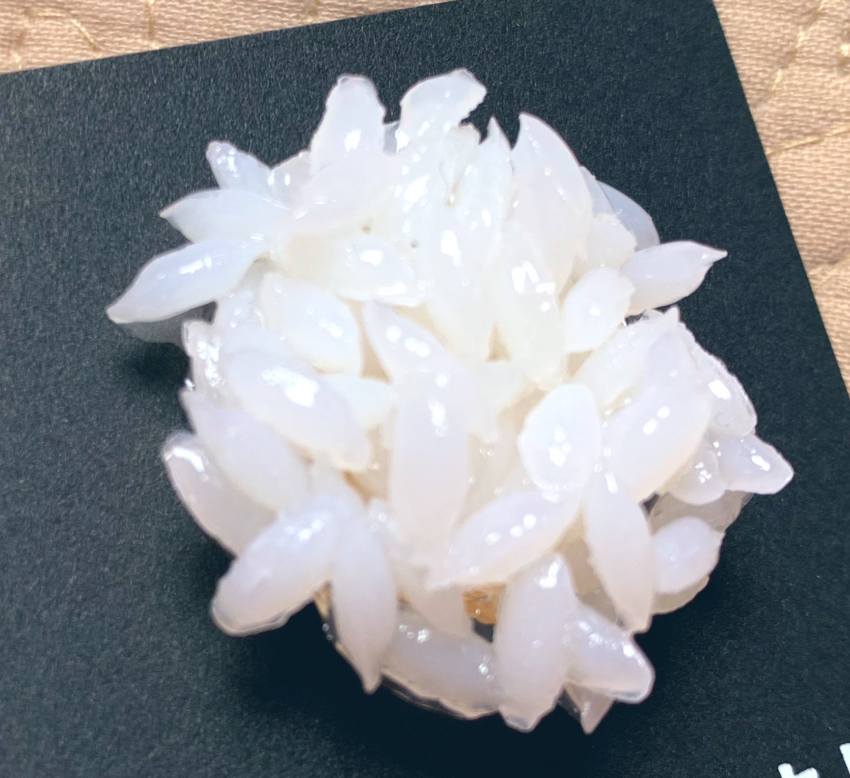 いか文庫 おこめついてますよ 届いたよ 裏はこうなってて ブローチです お米つけてお出かけできます めっちゃ米粒 いか文庫 おこめついてますよ 届いたよ 裏はこうなってて ブローチです お米つけてお出かけできます めっちゃ米粒