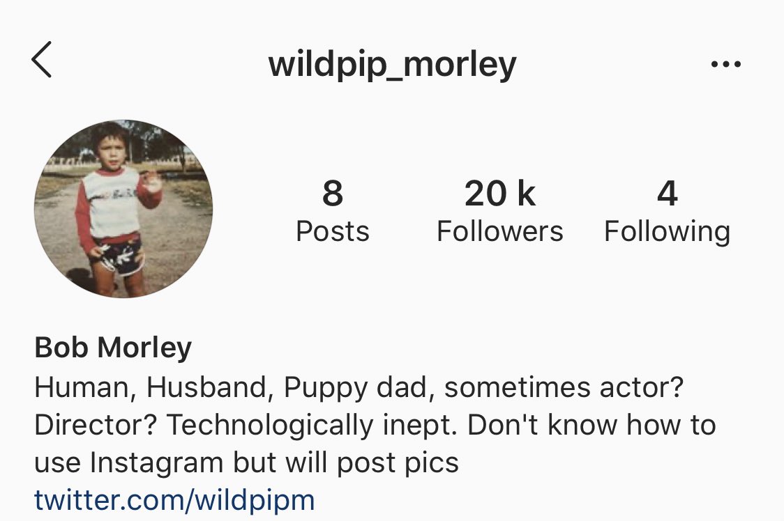 follow bob morley on instagram 
link: instagram.com/wildpip_morley…