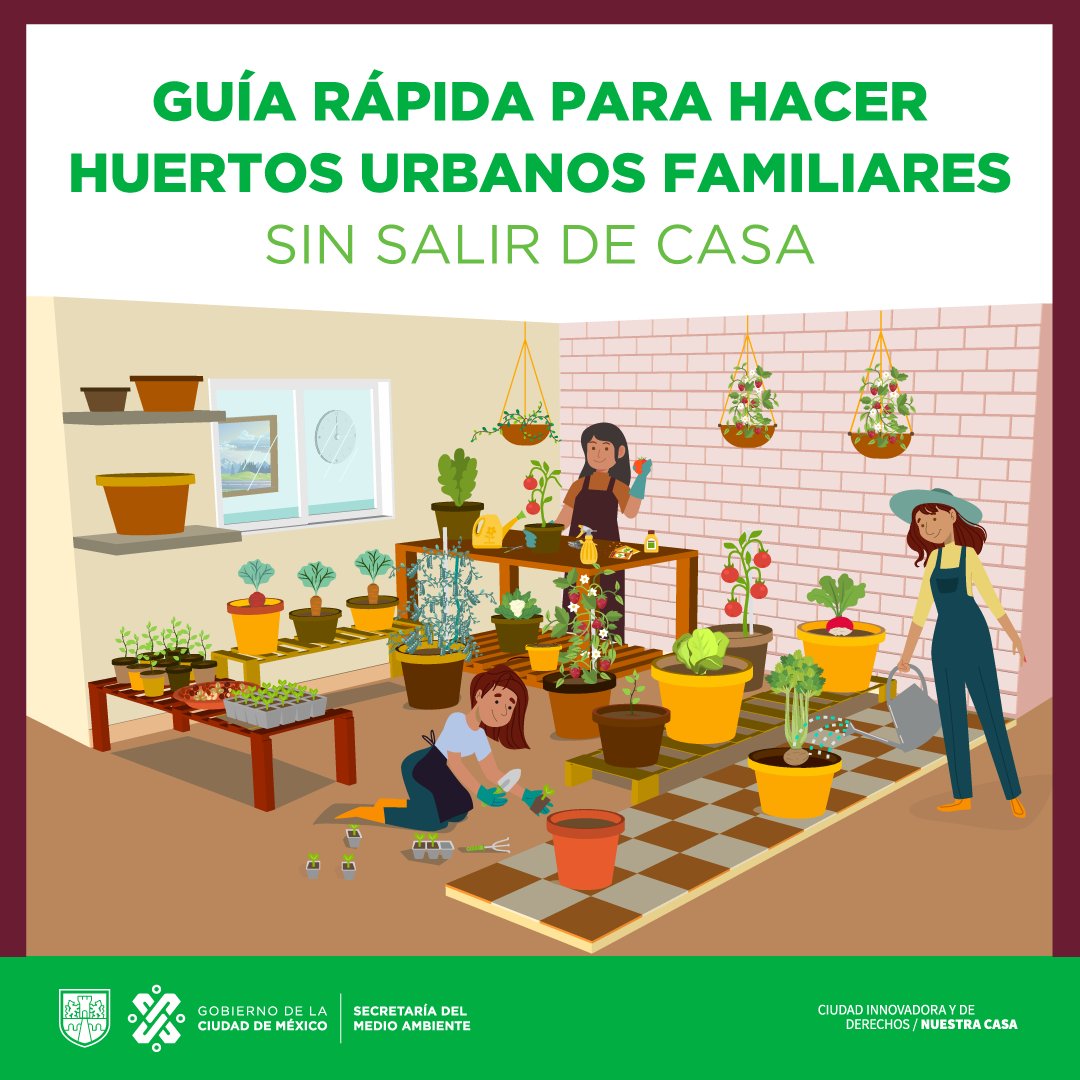 SEDEMA_CDMX's tweet photo. Hoy es un buen día para iniciar tu propio huerto urbano 🌽🥕🥔🥑🍒 Aquí ➡️ https://t.co/UaPcYpAAVi te decimos cómo hacerlo sin salir de casa 🏡 https://t.co/qqF8J05lhq
