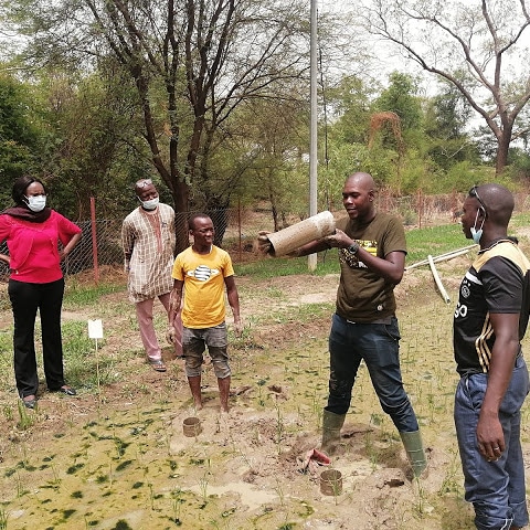 DrreaO's tweet photo. 👉#AWD : faciliter la rétention de l’eau dans les périmètres irrigués
👉 #SmartValley : meilleure gestion de l’eau dans les bas-fonds.
Des technologies pr positiver la façon de cultiver le riz. Des formateurs formés pr servir de relais. Détails ici : https://t.co/FgnFCqP4zU https://t.co/h4TltReTKi