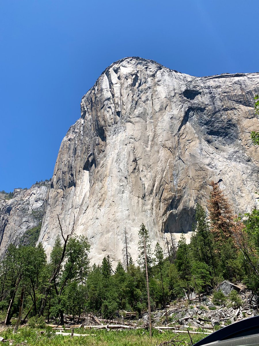 Another wonderful day in #yosemite 🙌🏼💚🏞