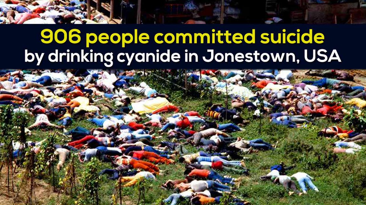 Tomthunkit™ tweet media