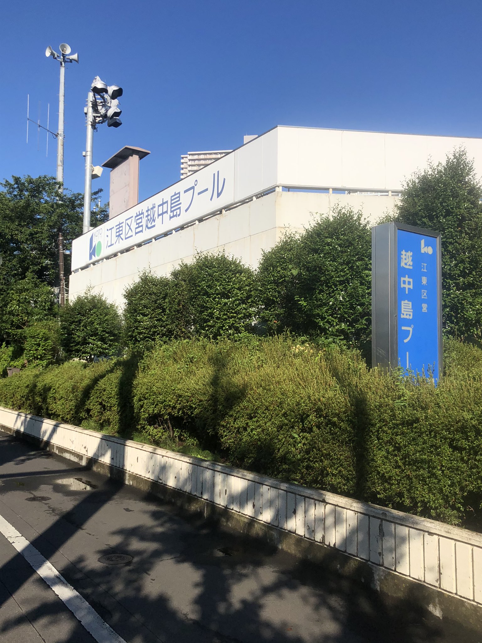 越中島プール Twitter Search Twitter