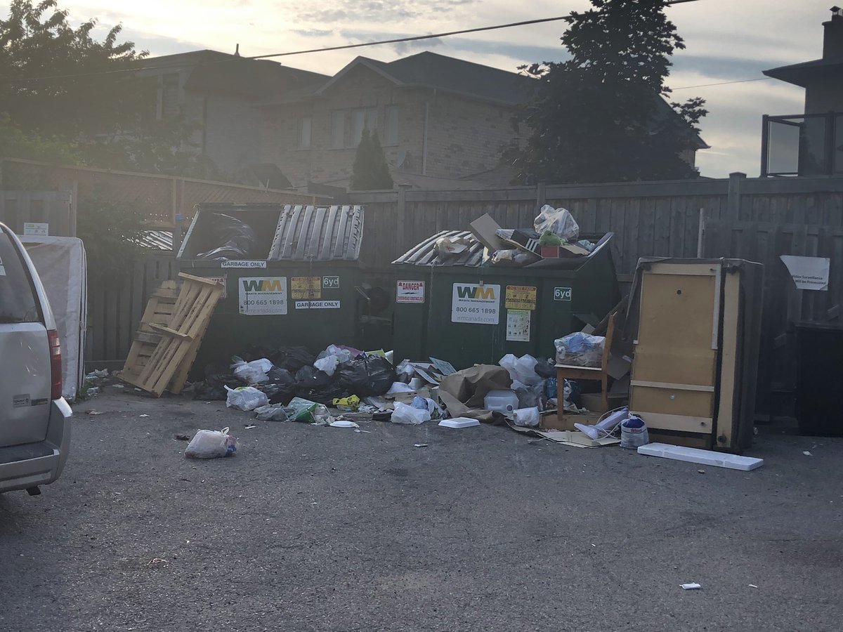 MarleeAveTO tweet media