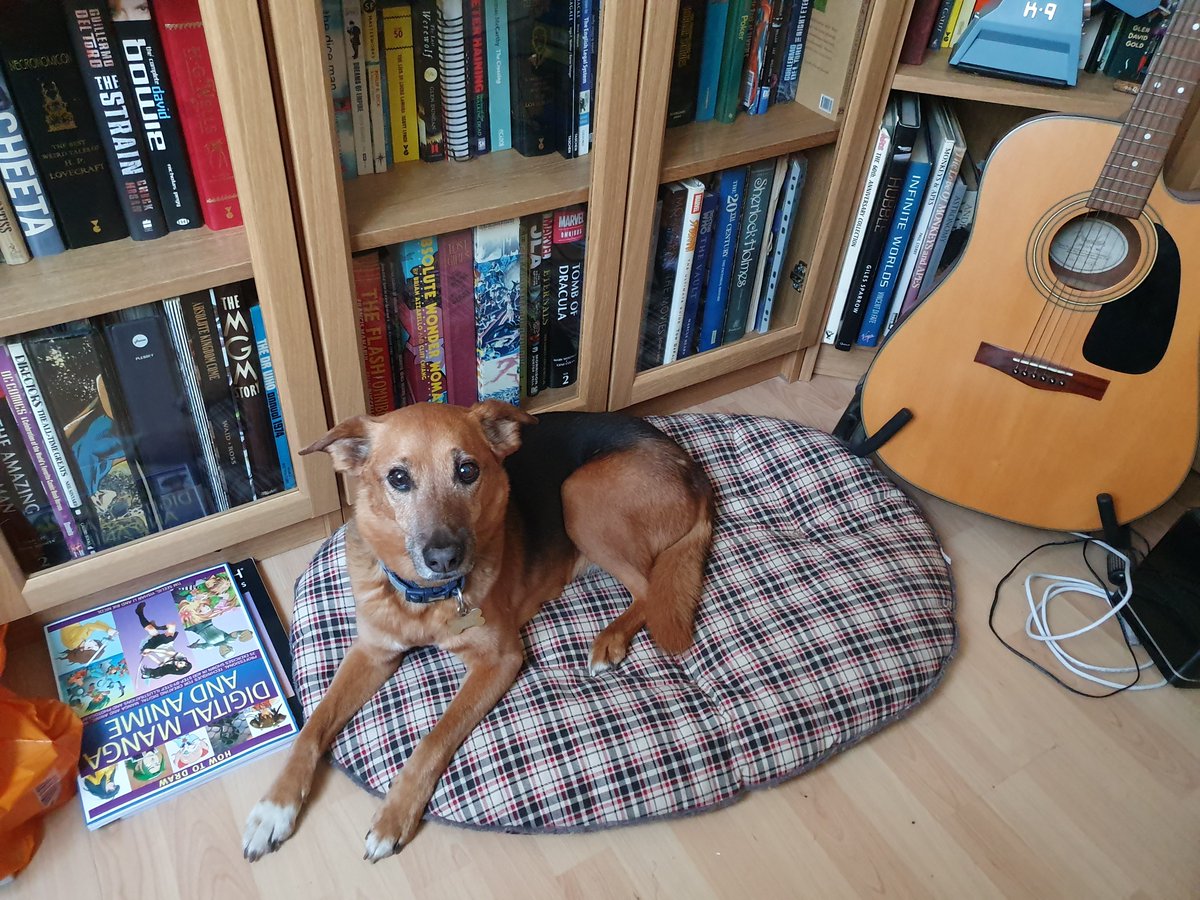 DanielCull's tweet image. Goodbye Ollie, the greatest dog in the world. You gave me far more than I could ever give you. A piece of my heart went with you today. RIP.