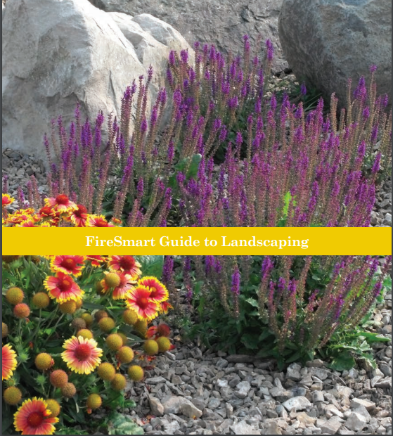 BNemergencyInfo's tweet photo. 🌼🌼🌼 Don’t forget to send in pictures of your #FireSmart gardens for a chance to win a WASP Home Sprinkler System! For FireSmart landscaping tips, check out this FireSmart Guide to Landscaping  #RDBN https://t.co/J7Qhz0sKzi https://t.co/pghFZvh8MD
