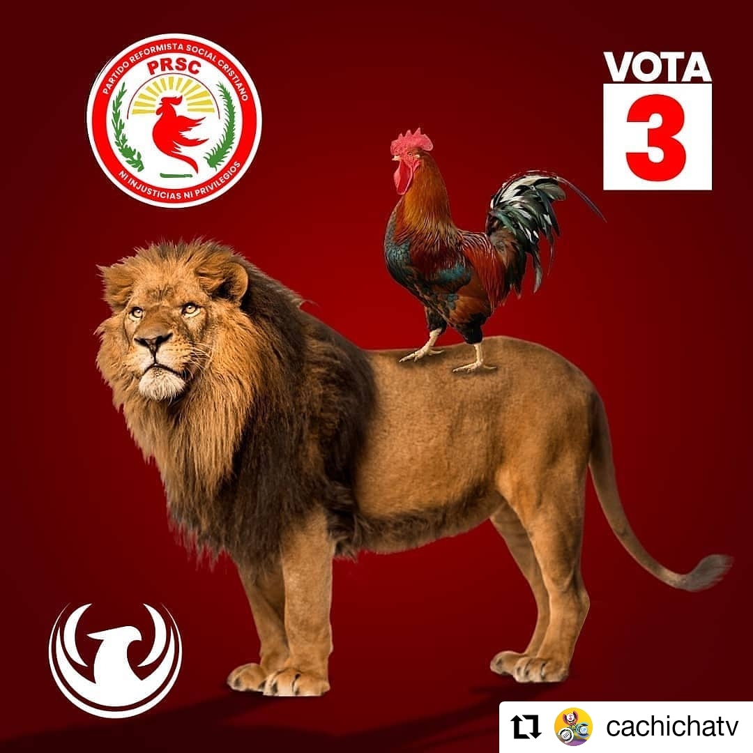enchercha_rd's tweet photo. #Repost @cachichatv
• • • • • •
El león @LeonelFernandez en Rojo en la casilla 3 del gallo @partidoprsc 💪 vota #3 colorao junto a @SergiaElenaVP del #PRSC por #ElCaminoSeguro

#NoEsMomentoDeInventar #Vota3 #VotaColorao #VotaRojo https://t.co/mXYdiu9HIM