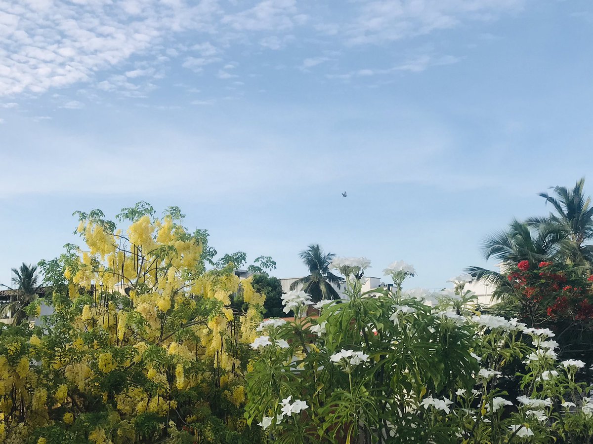 Stay put, where you are; I will reach you there. I have dwelt there long enough, and know the way too well!  ... vij 🎻