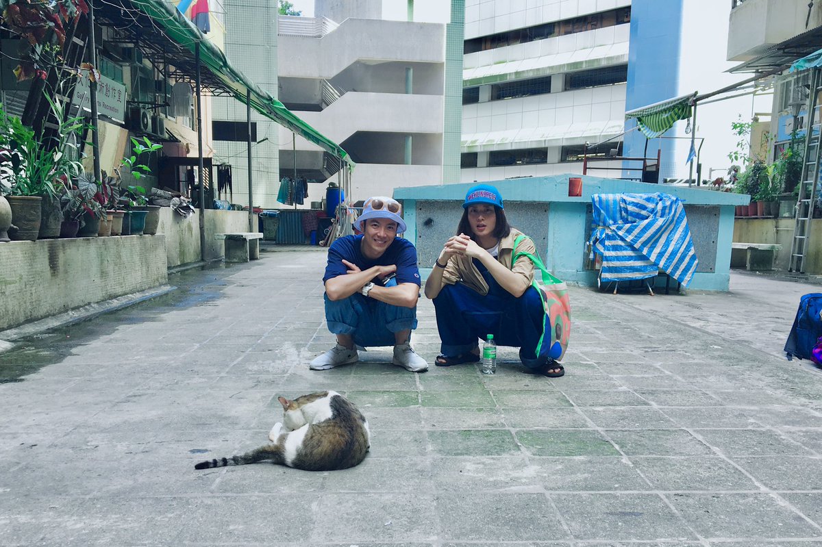 今日はヨースケくんの一周忌🌻だよ

#宮内陽輔　#ヨースケ<a href="/Home/">Geneia@home</a>